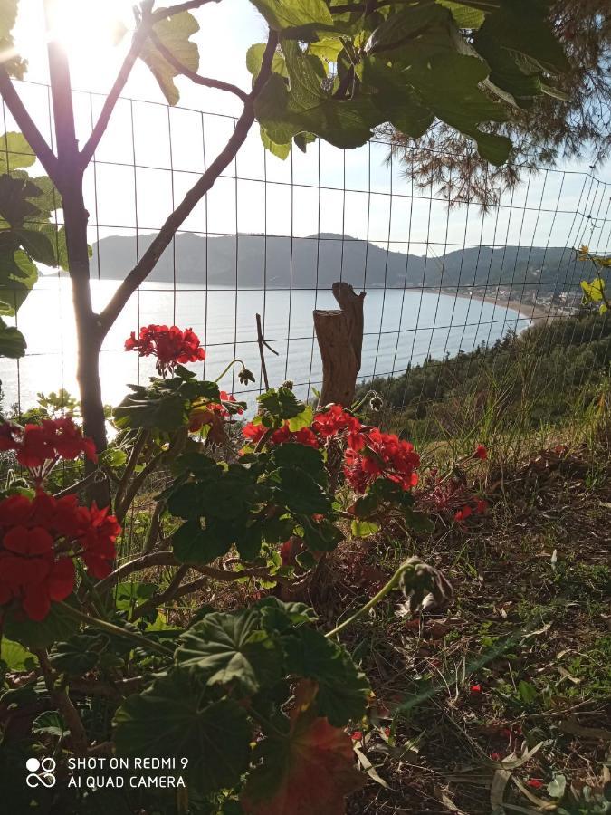 Cozy Few Mins From Corfu Agios Georgios Pagon